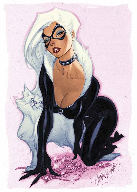 black cat spiderman photo